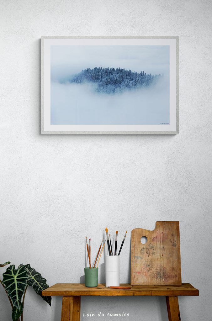 photo encadrée représentant des arbres dans le brouillard