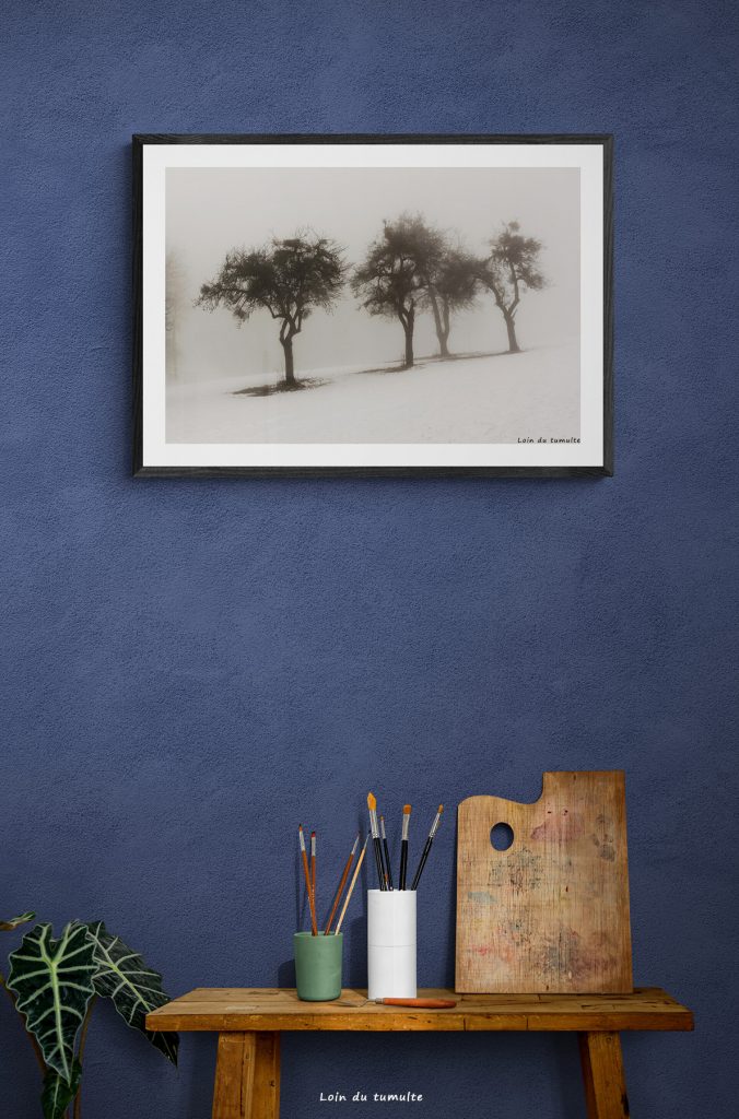 photo encadrée représentant des arbres dans le brouillard