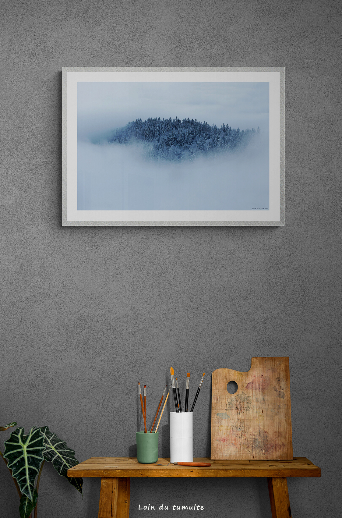 tableau photo de sapins en partie cachés par le brouillard